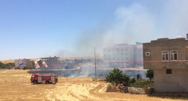 Anız yangını korkuttu