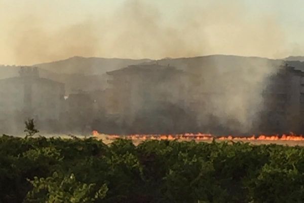 Anız yangını korkuttu