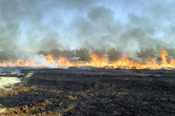 Anız Yangını Korkuttu