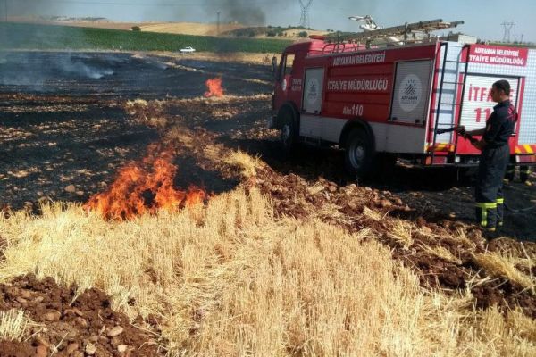 Anız yangınında ağaçlar ve elektrik direkleri yandı