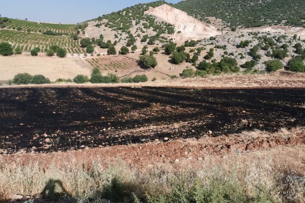 Anız yangınında canlılar ölmesin diye alevlere jandarma müdahale etti