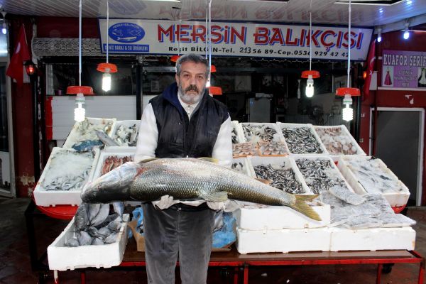 Atatürk Barajında büyük balıklar çıkıyor