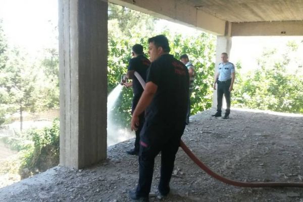 Bahçe yangını paniğe neden oldu
