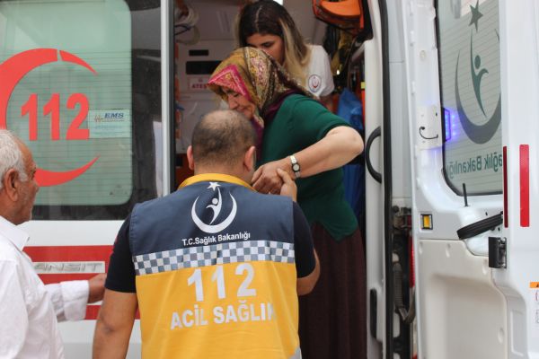 Bahçeyi ilaçlayan kadın zehirlendi