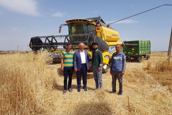 Başkan Şahan’dan hasat değerlendirmesi