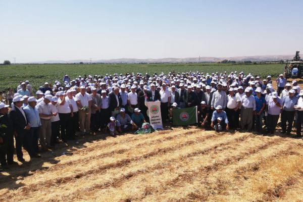 Başkan Şahan’dan pamuk açıklaması