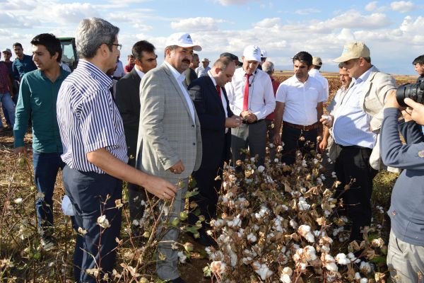 Besni’de Tarla Günleri Etkinliği Düzenlendi