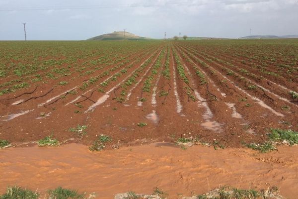  Besnili Çiftçileri Dolu Vurdu
