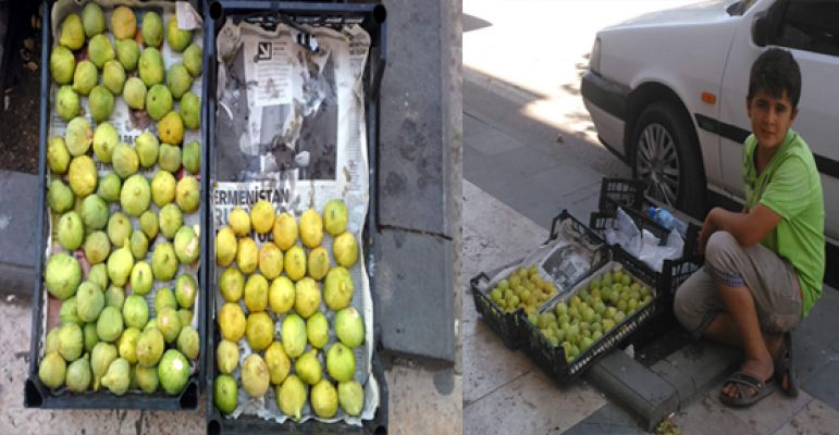 Bu Meyve Her Derde Deva 