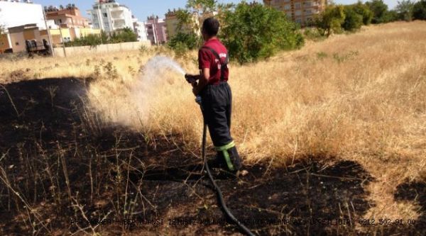 Buğday Tarlasında Yangın