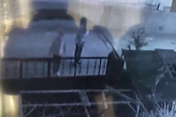 Bunlarda tavuk hırsızları