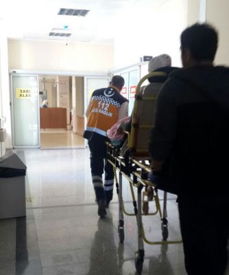 Ceviz kıran kadının kafasına taş düştü