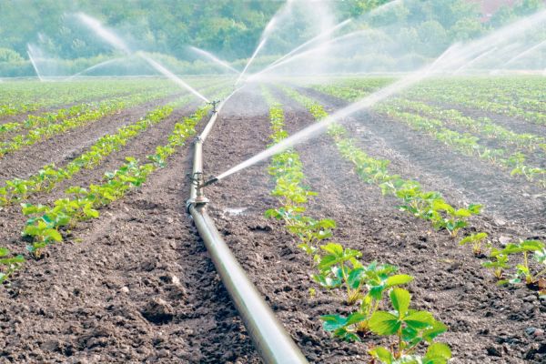 Çiftçiler enerji maliyetlerinden mağdur