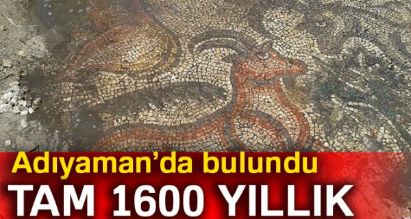 Çiftçiler tarlada tarihi mozaik buldu