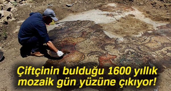 Çiftçinin bulduğu 1600 yıllık mozaik gün yüzüne çıkıyor
