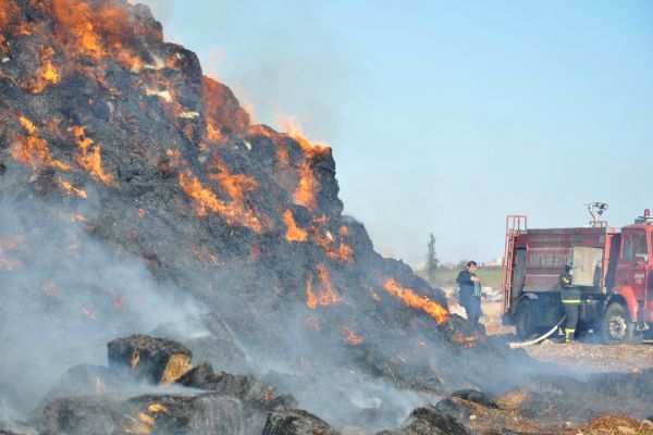 Çiftlikte Çıkan Yangında 5 Bin Balya Saman Kül Oldu