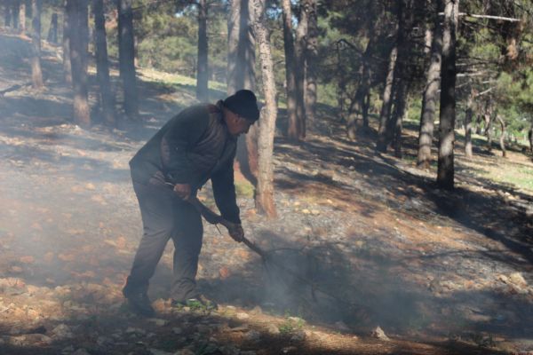Çıkan orman yangınını vatandaşlar söndürdü