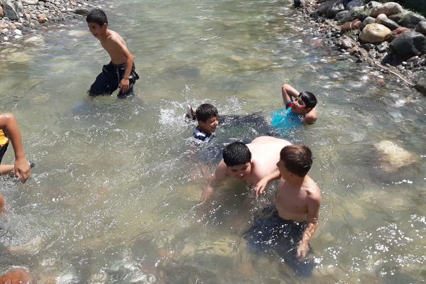 Çocuklar tehlikeye rağmen süs havuzlarında serinliyor