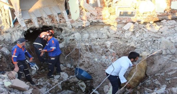 Depremin yıktığı evin altında kalan 147 küçükbaş hayvan telef oldu