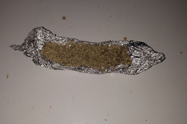 Durdurulan otomobilden bonzai ele geçirildi