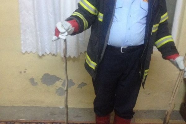 Eve giren yılan panik yaşattı