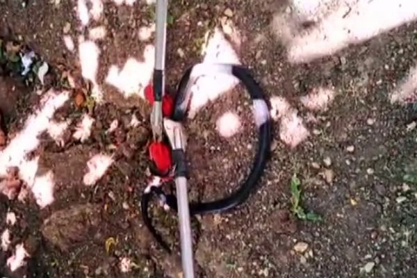 Evin bahçesindeki yılan yakalanarak doğaya bırakıldı