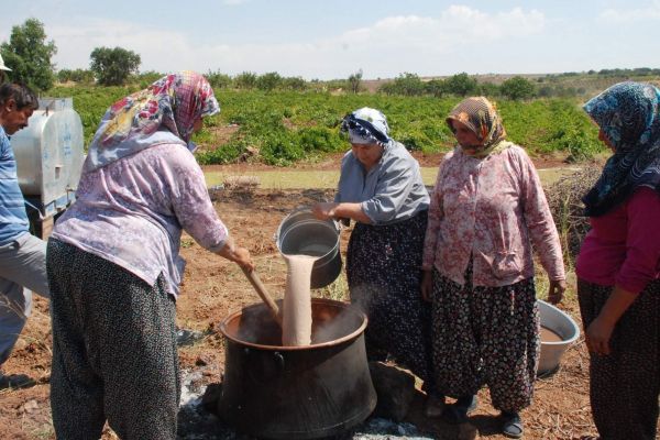 Gölbaşı İlçesinde Bağ Bozumu Şenlikleri Başladı