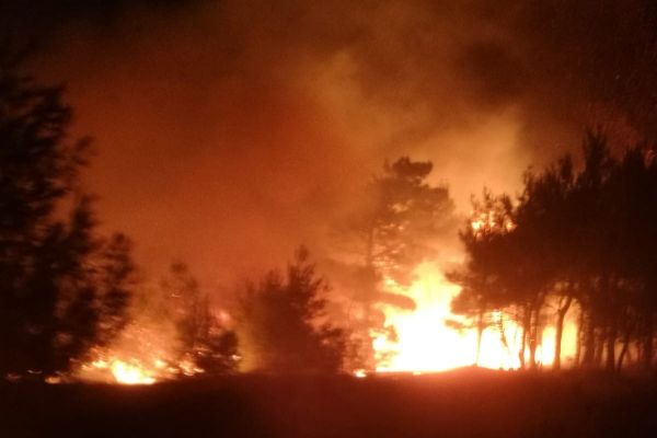 Gölbaşı’nda ormanlık alan yandı