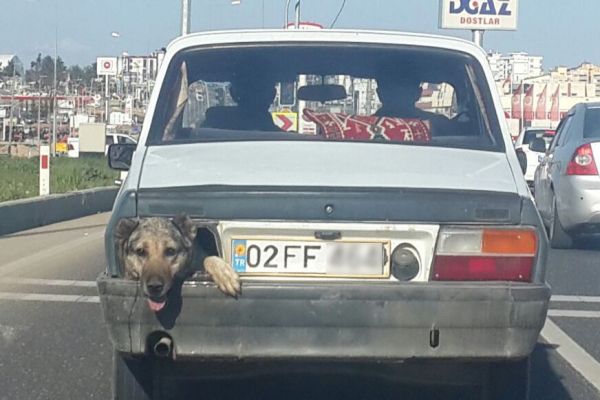 Görenler şaştı kaldı