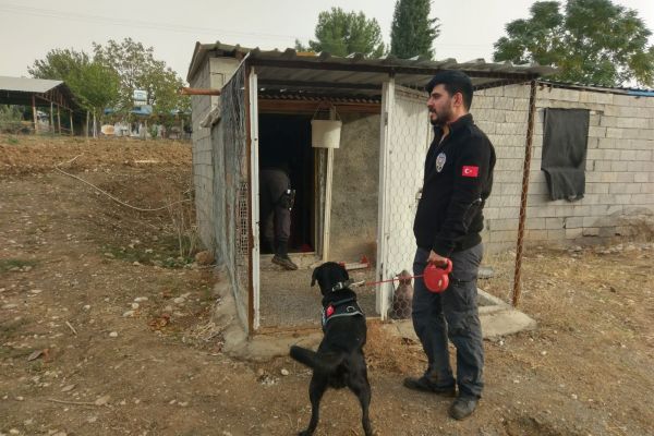 Güvercin kümesinde uyuşturucu bulundu