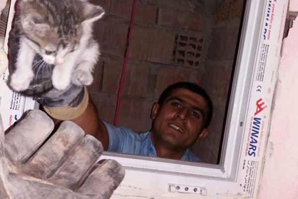 Havalandırma Boşluğuna Düşen Yavru Kedi Kurtarıldı