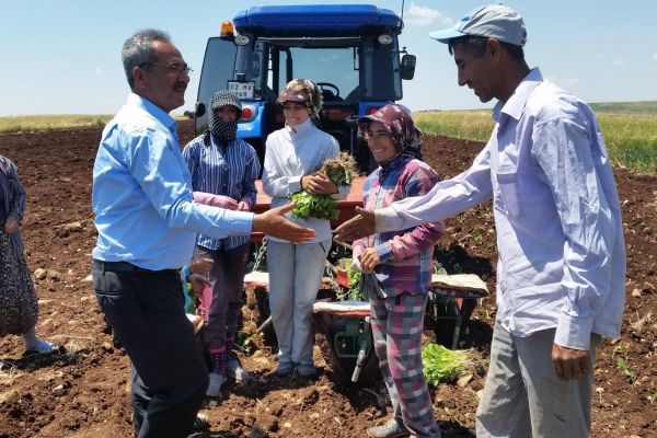 HDP Milletvekili Yıldırım’dan mevsimlik işçiler açıklaması