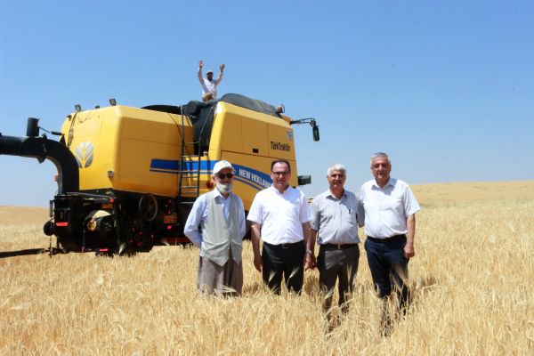 Hububat hasadında yüzde 20 artış yaşandı