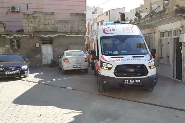 İncir ağacından düşen kadın yaralandı