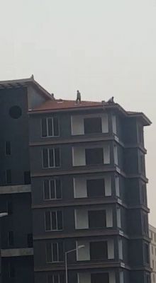 İnşaat işçileri metrelerce yükseklikte canını tehlikeye attı