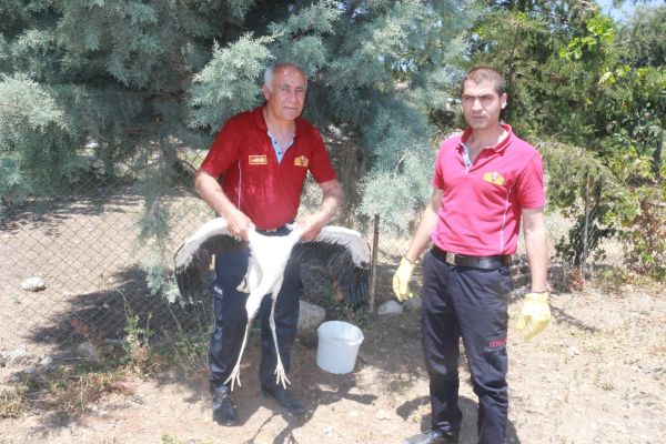 İtfaiye bu kez leylek için seferber oldu