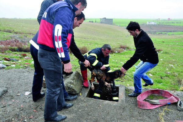 İTFAİYE EKİPLERİ KUYUYA DÜŞEN KÖPEK İÇİN SEFERBER OLDU