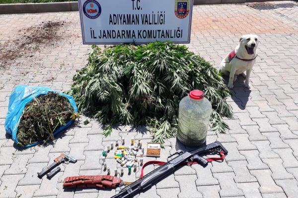 Jandarma çok miktarda uyuşturucu ve silah ele geçirdi
