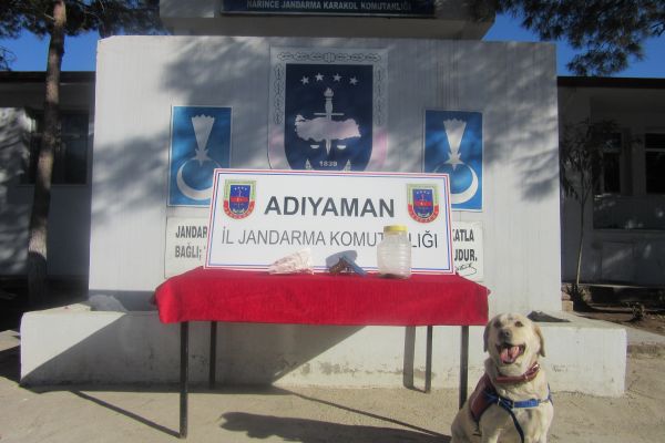 Jandarma ekipleri uyuşturucu tacirlerine göz açtırmıyor