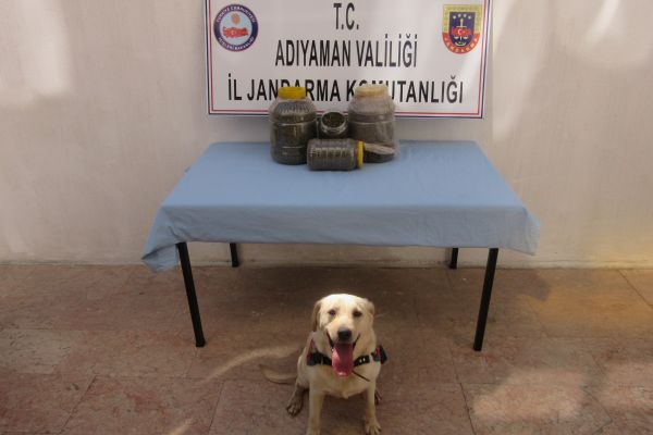 Jandarma uyuşturucu madde ele geçirdi