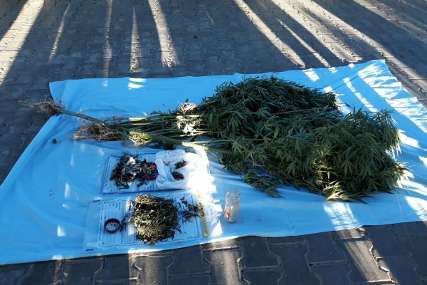 Jandarma uyuşturucu satıcılarına göz açtırmıyor