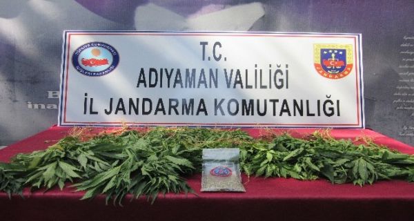 Jandarma uyuşturucu tacirlerine göz açtırmıyor