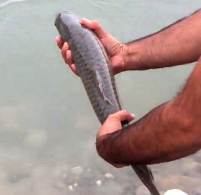 Kaçak avcılara geçit yok