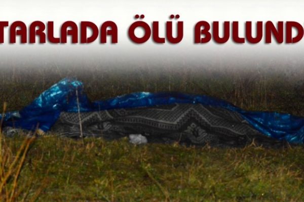 Kafasında bıçak darbeleri olan belediye işçisi tarlada ölü bulundu