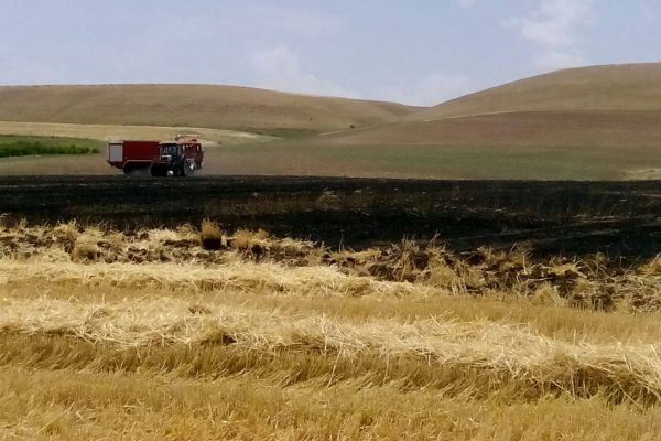 Kahta İlçesinde Anız Yangını