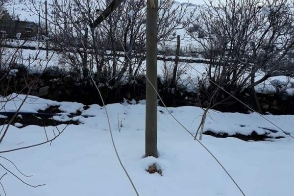 Kar elektrik ve telefon direklerini devirdi