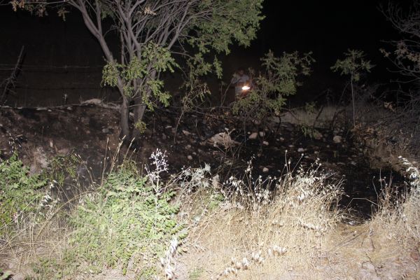 Karadağ ormanlık alanı ateşe verildi