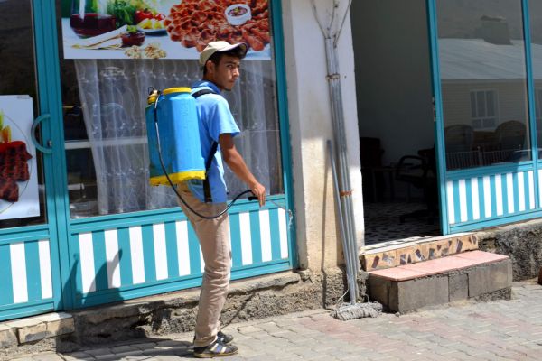 Karasineklere Karşı İlaçlama Çalışması Yapılıyor