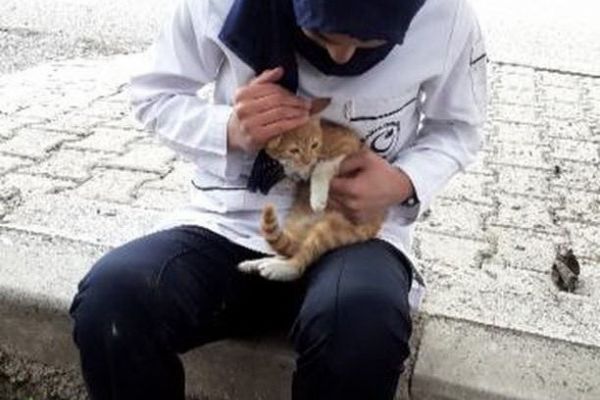 Kız öğrenci ağaca tırmanıp mahsur kalan kediyi kurtardı