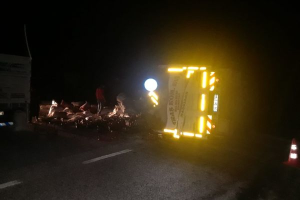 Kontrolden çıkan kamyon devrildi